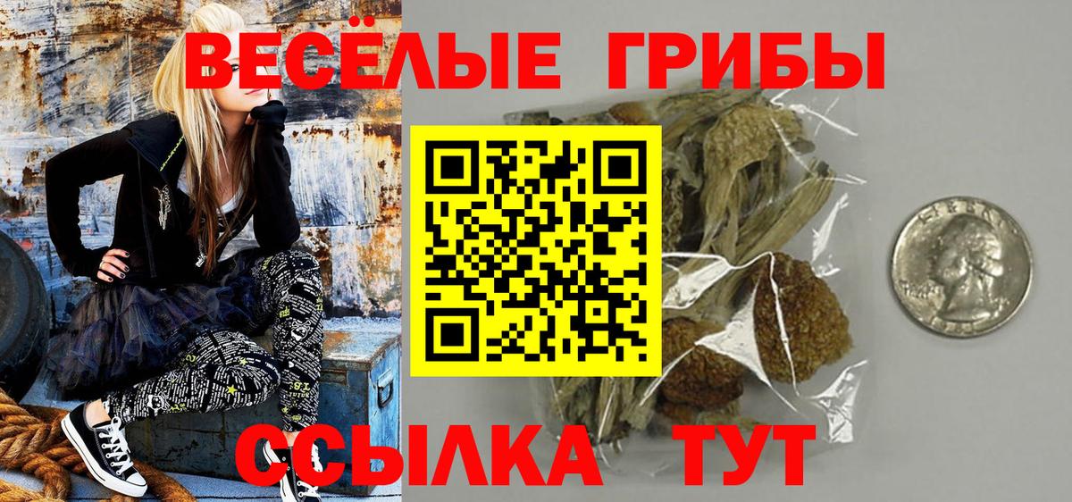Галлюциногенные грибы мухоморы Жигулёвск