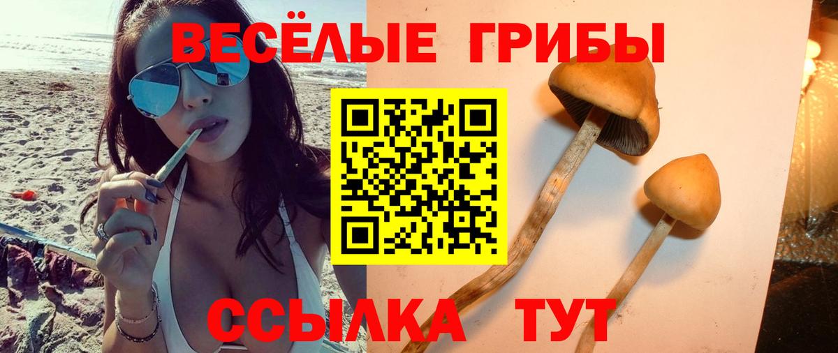 Жигулёвск  Галлюциногенные грибы GOLDEN TEACHER  Галлюциногенные грибы мицелий  Вход с VPN 